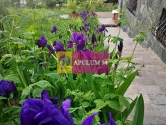 Vila de vanzare in Poiana Campina